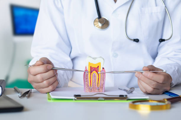 Best Emergency Treatment for Oral Infections in Avalon, CA